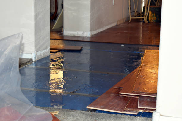 Professional Sewage Cleanup technician working in Temple, NH